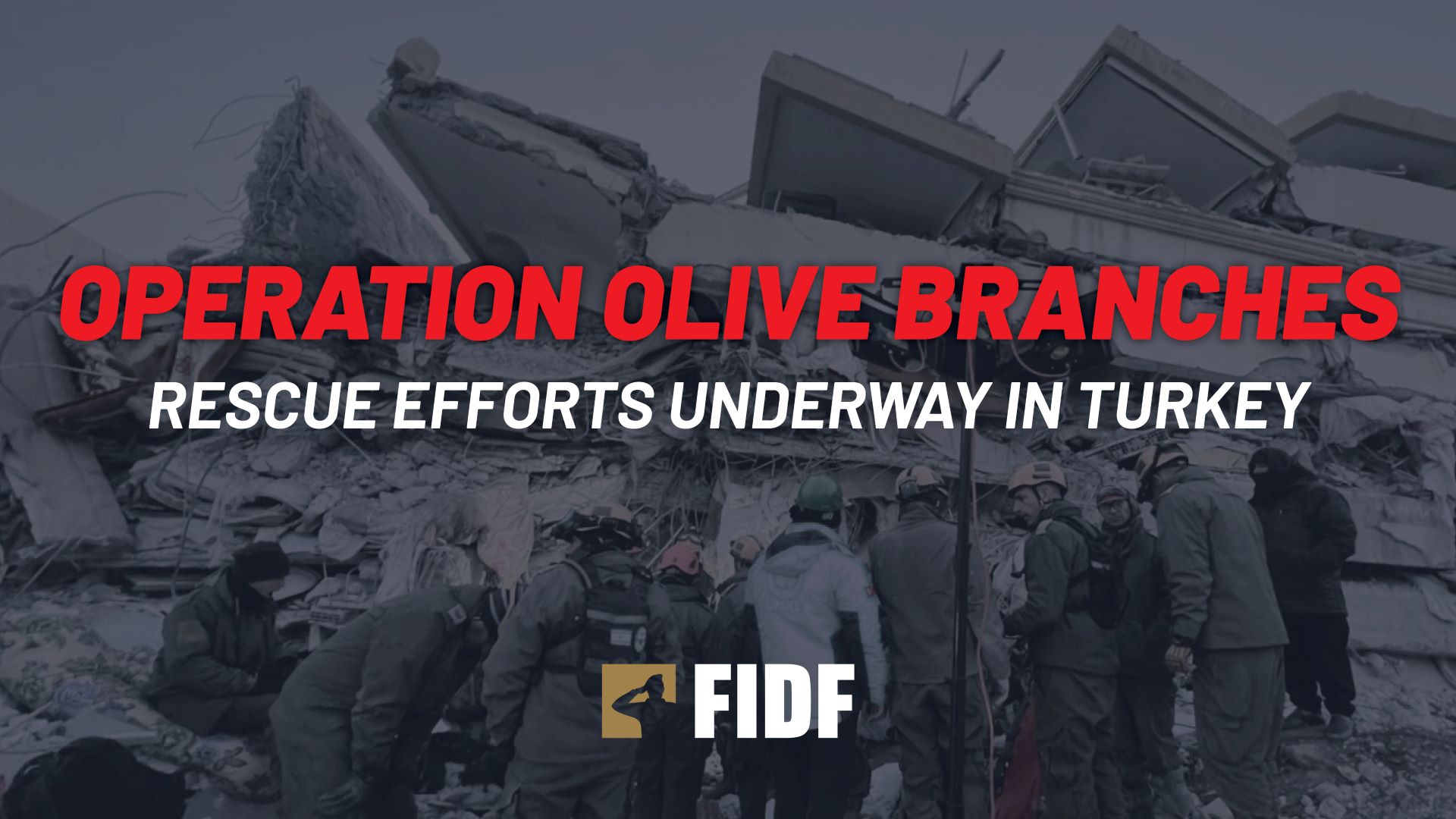 operation olive branch
