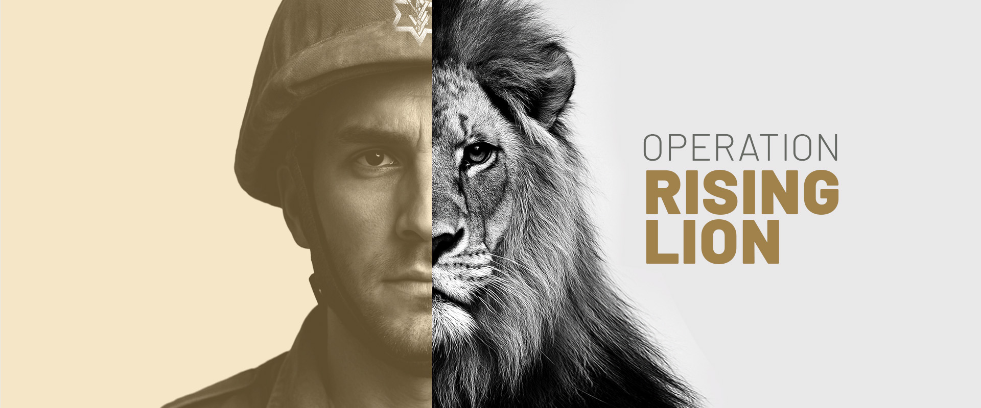 Operation Rising Lion Emergency Campaign